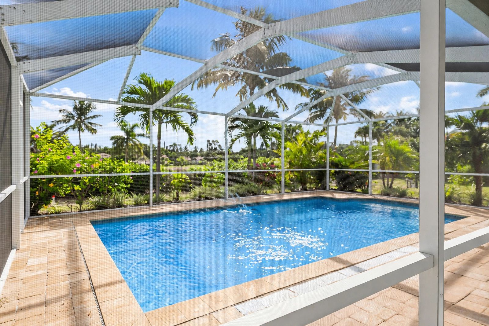 Pool enclosed by a white aluminum screen cage in St. Petersburg, FL